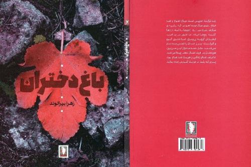 رمان دفاع مقدسی باغ دختران منتشر گردید