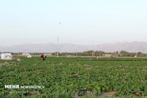 نشست تخصصی میراث كشاورزی برگزار می گردد