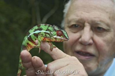 دیوید اتنبرو با زندگی در رنگ می آید